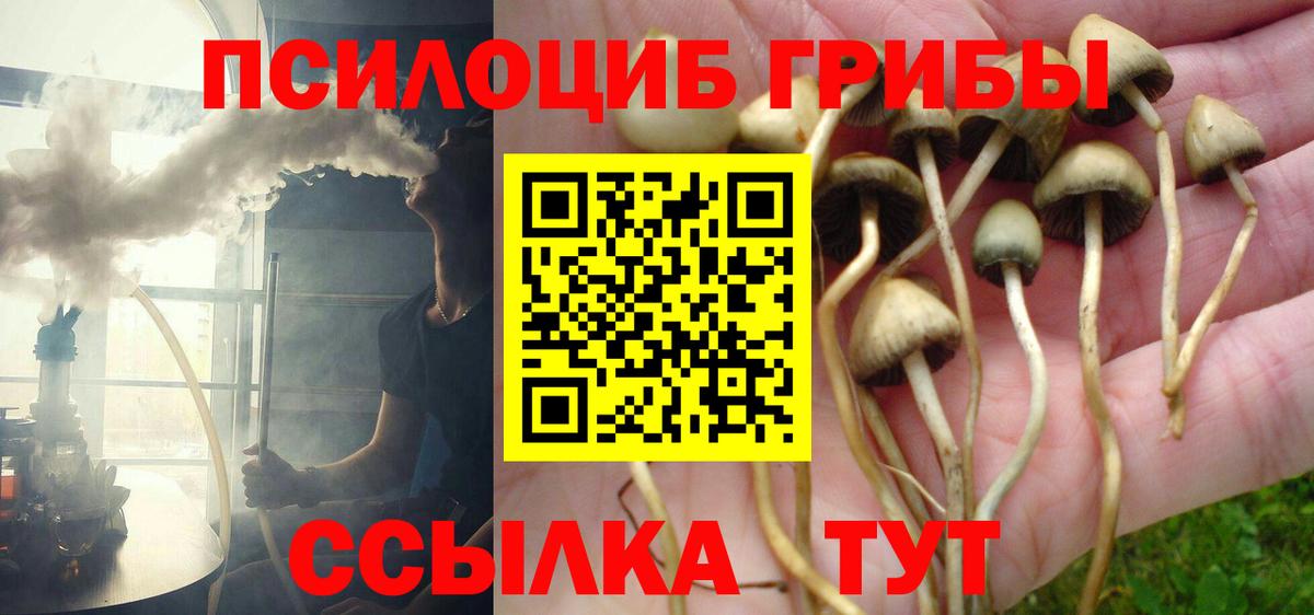 Дивногорск  Псилоцибиновые грибы MAGIC MUSHROOMS  Вход с VPN  Псилоцибиновые грибы Magic Shrooms 